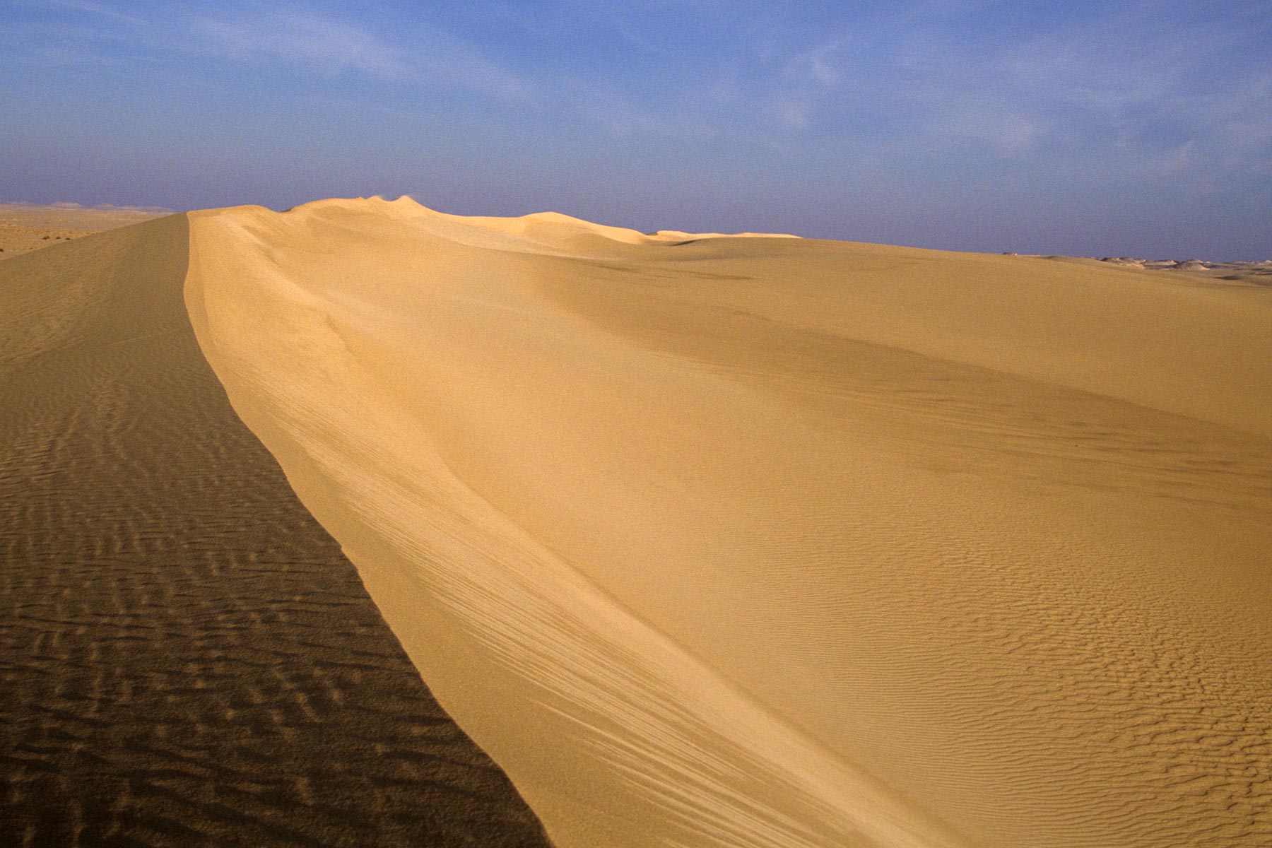 Sahara-Desert